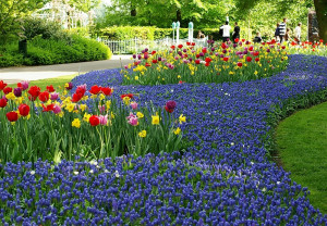 Keukenhof "virágoskert"