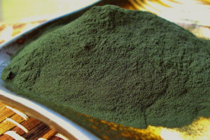 Bio Spirulina és chlorella